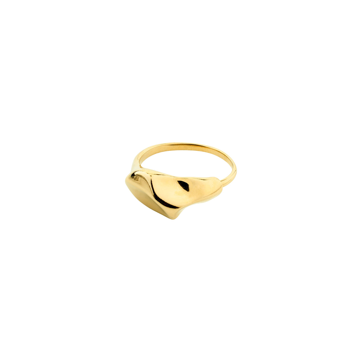 INDI recycled chunky ring